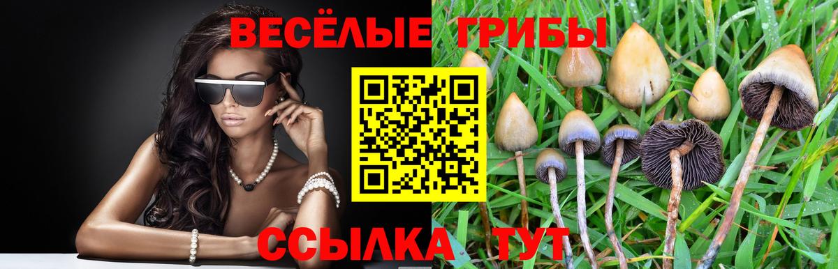 Псилоцибиновые грибы мухоморы  купить  сайты  Когалым  Вход с VPN 